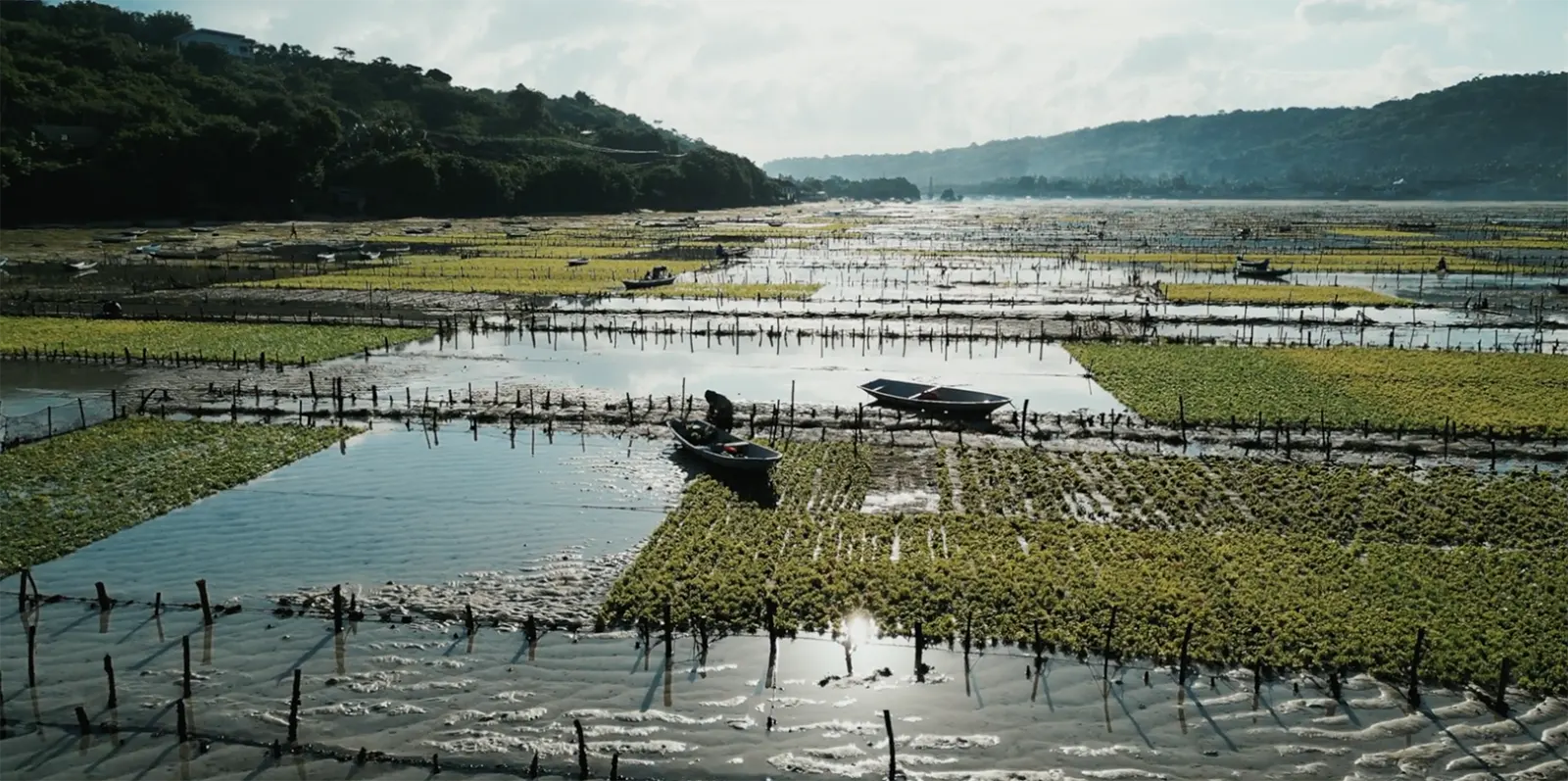 SEAWEED FARMING | travel